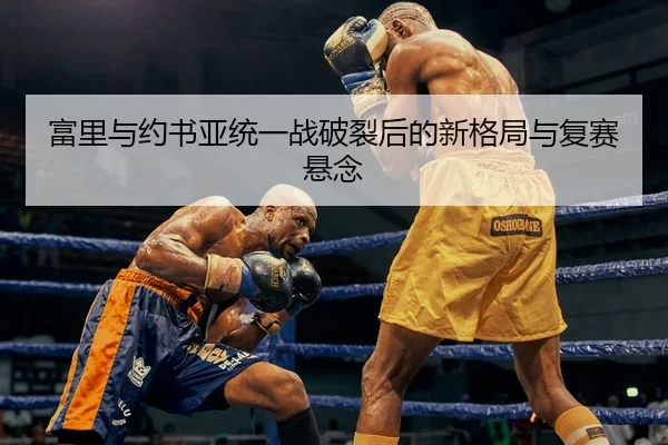 富里与约书亚统一战破裂后的新格局与复赛悬念